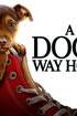 A Dog's Way Home