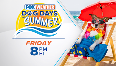 FOX Weather presents 'Dog Days of Summer' on Friday at 8 p.m. ET