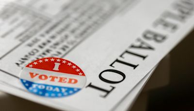 Georgia May 21 primary: A look at who's on the ballot
