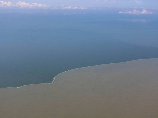 Gulf of Mexico ‘dead zone’ is larger than average this year, the size of New Jersey