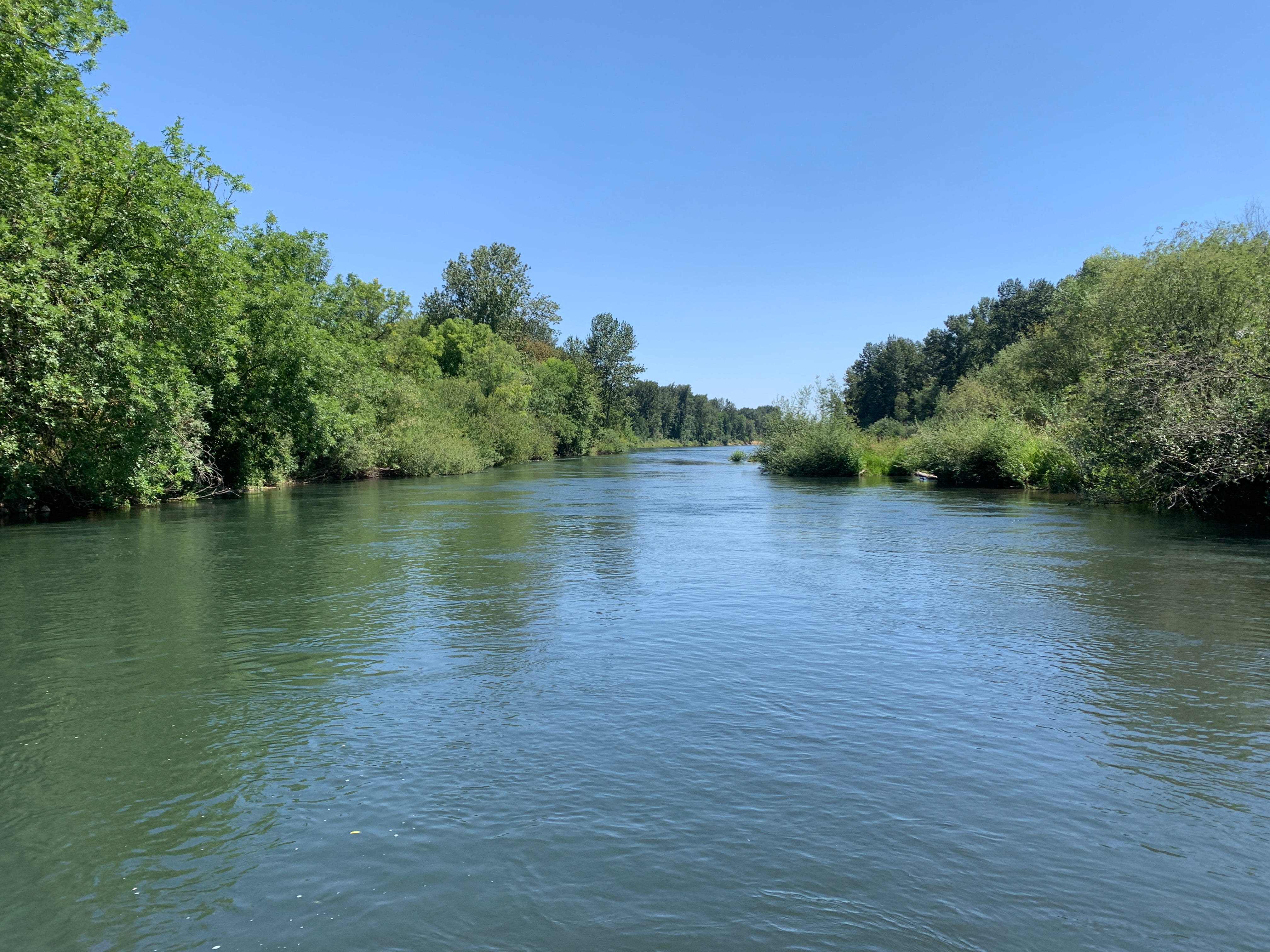 Willamette River bliss: Camp, swim and fish water trail near Peoria