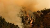 Wildfire on Spain's Tenerife island slows advance, no new evacuations