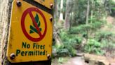 Campfire ban comes into effect in B.C. amid heightened fire risk | CBC News