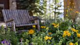 Ask Eartha: Do gardens require more care than lawns?