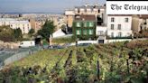 The surprising urban vineyards of Paris