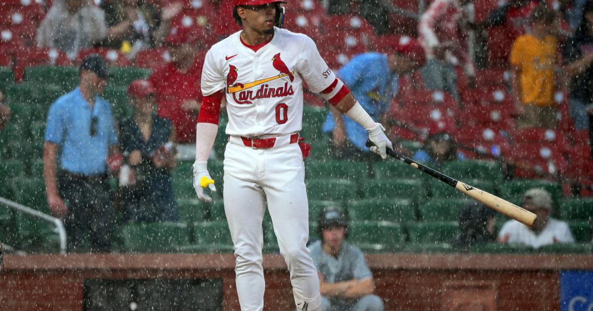 St. Louis Cardinals game vs White Sox delayed with one out to go