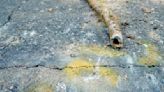 City to reimburse lead service line replacement costs