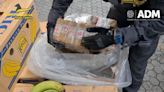Con ayuda de un perro, la policía italiana detecta cocaína escondida en cargamento de bananas
