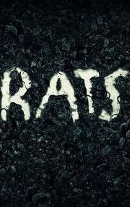 Rats (film)