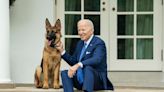 31 photos of the most adorable dogs to live in the White House