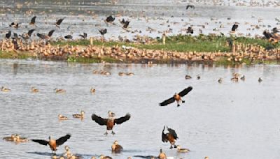 National Green Tribunal directs Bengal government and South Eastern Railway to settle jheel dispute