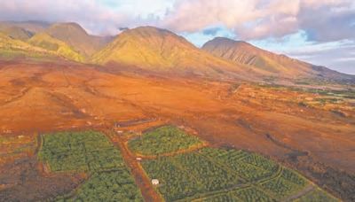 Maui chocolate tour reopens at Maui Ku‘ia estate in Lahaina