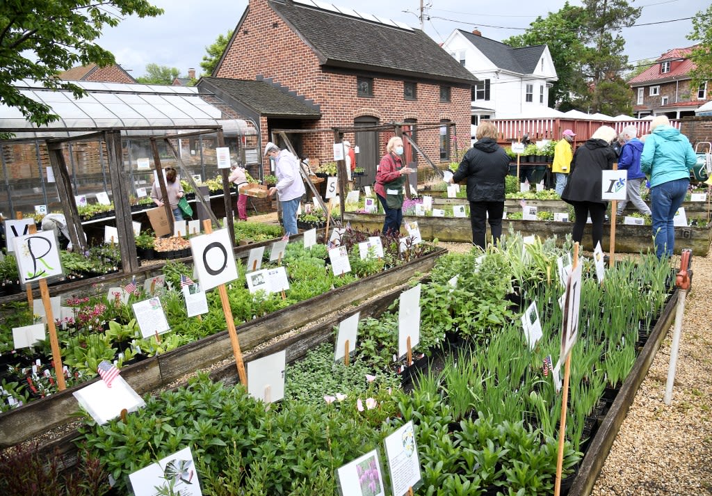 Karen Brown: Historic Annapolis celebrates 50 years of William Paca Garden and Plant Sale | COMMENTARY