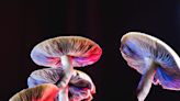 Can psychedelics really treat OCD, depression, and chronic pain? A researcher explains how they work and their potential risks