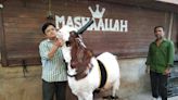 Ghulam-e-Mustafa: India's Heaviest Buck of Kota Breed Captivates Ahead of Bakrid Celebrations