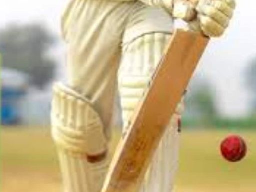 England's Cricket Club Bans Players From Hitting Sixes. Know Why - News18