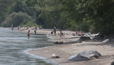 Public invited to share input on plans for Durand Eastman beach