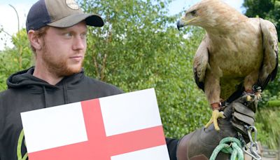 Honey the psychic eagle delivers verdict on England v Slovakia Euro clash