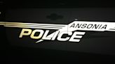 11 dogs, 3 cats seized during animal cruelty investigation in Ansonia: police