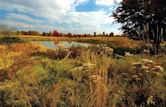 Occoquan Bay National Wildlife Refuge