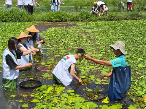 守護自然家園 信義房屋志工助高雄水雉生態 - 生活