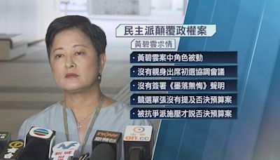 【民主派顛覆政權案】黃碧雲求情︰受抗爭派施壓才說否決預算案