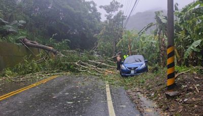 台中轎車遭倒塌路樹波及動彈不得 警方助脫困 (圖)