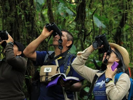 Colombia es el mejor país para “pajarear” a la hora de hacer turismo de naturaleza, confirmó el Global Big Day 2024