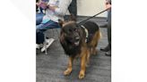 First-ever comfort dog for Multnomah County Sheriff's Office sworn in