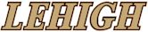 Lehigh Mountain Hawks