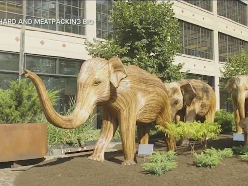 100 life-sized elephant sculptures migrate to NYC: Here's where to see them