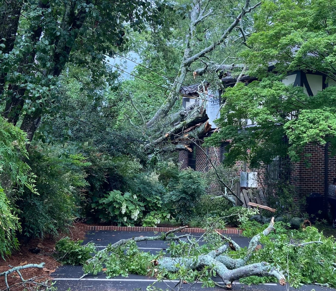 Woman killed when massive tree topples, crashes into Mountain Brook Village apartment