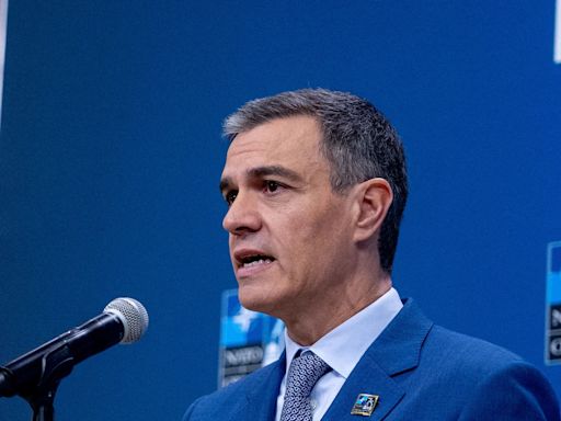 Spain PM At NATO Summit Rejects "Double Standards" On Gaza