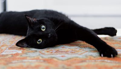 For startups and VCs, superstition isn’t just for Friday the 13th