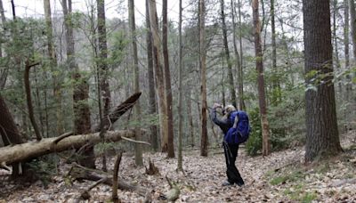 Hikers are infecting Virginia wildlife with COVID-19, study finds