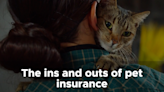 The ins and outs of pet insurance