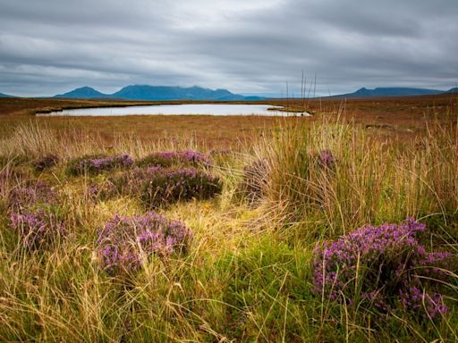 The UK just got a brand-new UNESCO World Heritage Site