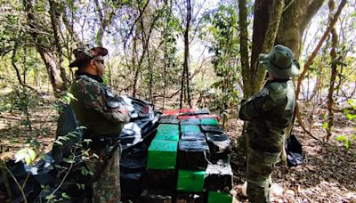 Batalhão de Polícia Ambiental apreende 933,85 quilos de maconha no PR | TNOnline