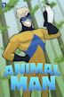 Animal Man