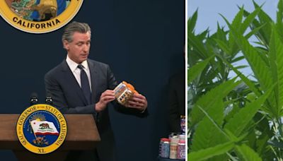 Gov. Newsom proposes THC product regulations citing concerns about children accessibility