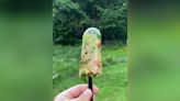 "Ilegal": Man Prepares Popsicles From Noodle Soup, Meat And Veggies. Internet Can't Digest It