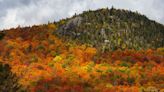 This Foliage Report Will Show You When NY Leaves Are at Their Best This Season