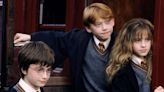 The Harry Potter casting call confirmed my worst fears