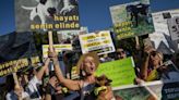Turquie: l'Assemblée adopte une disposition controversée sur l'euthanasie des chiens errants