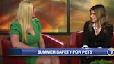 Keeping your pets safe in the summer