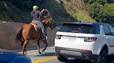 Cowgirl with a lasso seen galloping on horseback through traffic jam on highway