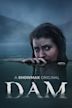 Dam (TV series)