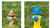 Help keep everyone safe by keeping fire hydrants visible