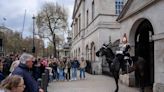 King Charles' Guard Breaks Protocol to Allow Elderly Veteran to Pet His Horse