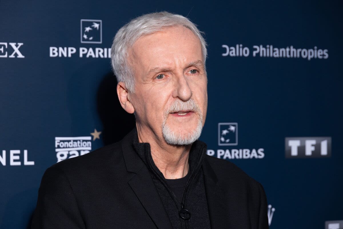 James Cameron Is No Match for Britain's NIMBYs